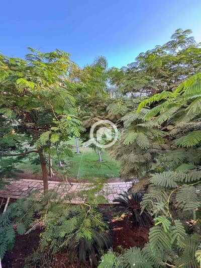 3 Bedroom Apartment for Sale in Madinaty, Cairo - 2fa95dd5-729f-4bd1-86cf-a4b62c5a7bb6. jpg