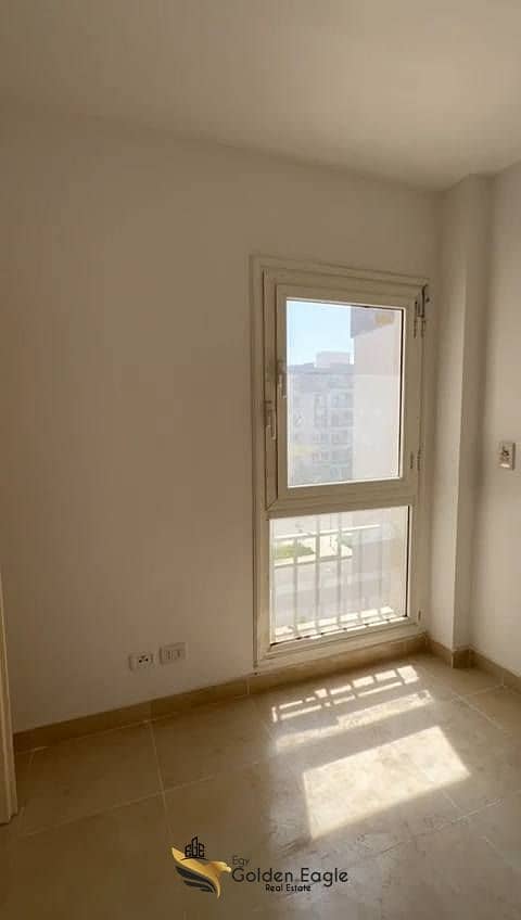 6 571996022_1497877221442805_3314589112947317361_n. jpg