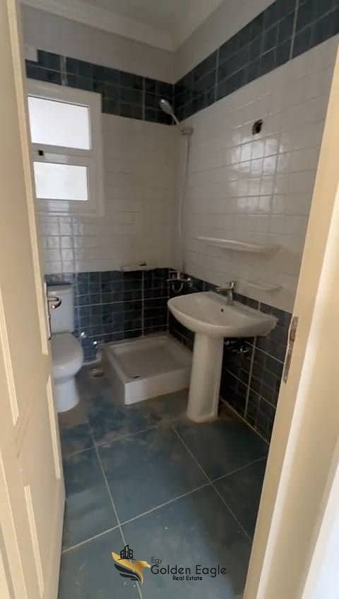 8 572784133_1497876968109497_2077255810113742264_n. jpg