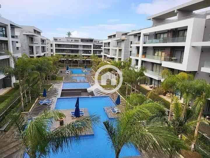 9 424273b4-0f61-4e63-bfa6-2e43d4b8153e. jpg