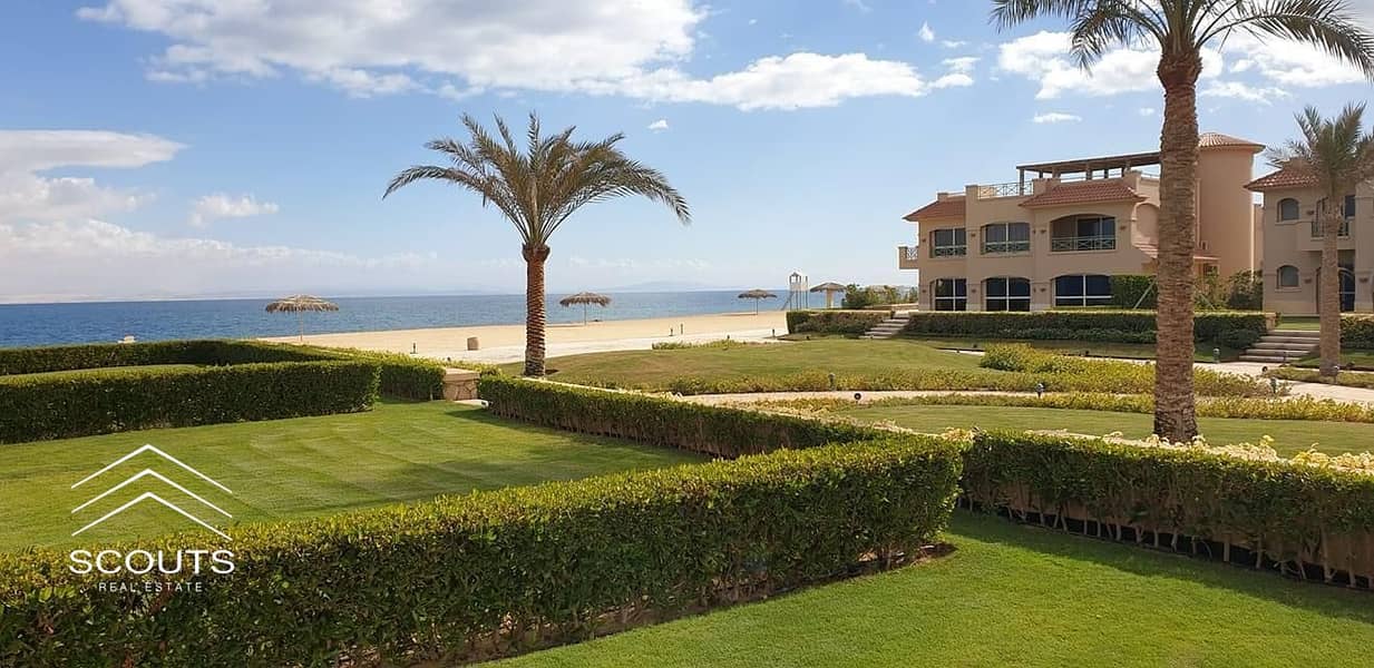 14 be16a472-5439-429a-a626-b45e8835d1b9. jpg