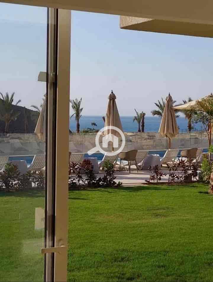 2 29f7755a-daf7-4d01-89b5-af0b4ef31053. jpg