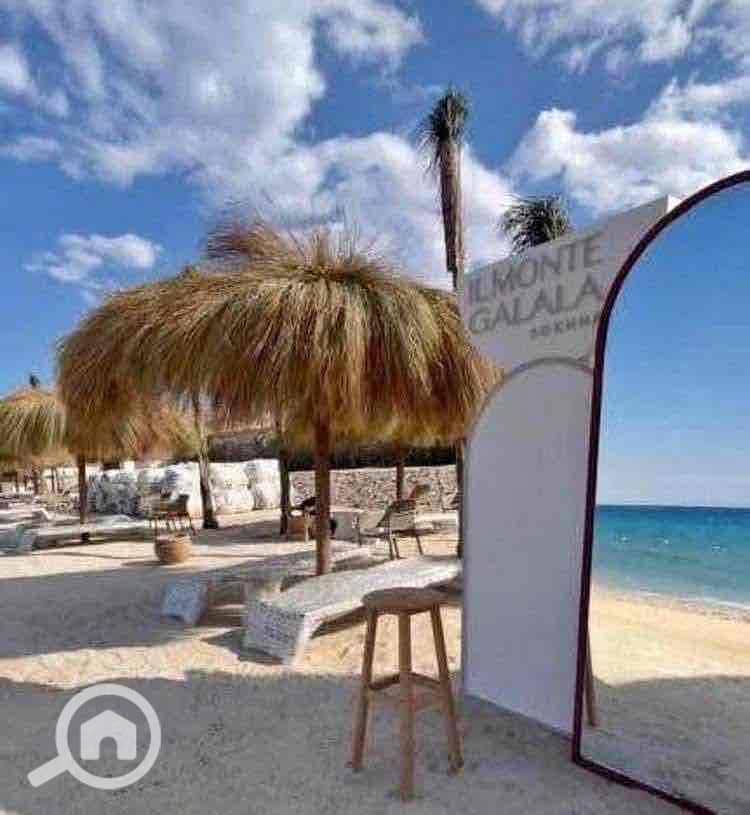 5 cfa195a3-48e1-43e0-a727-553cc5fe2eb8. jpg