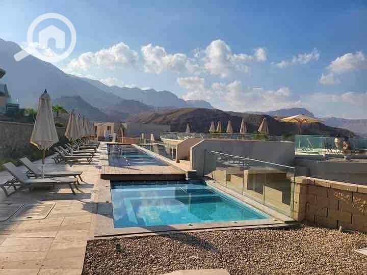 9 d1254b18-765b-4176-a2ae-f27cb7ab755b. jpg