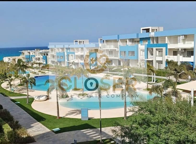 2 1b66f9d2-1ac2-4902-bc43-cb5052f2d914. jpg