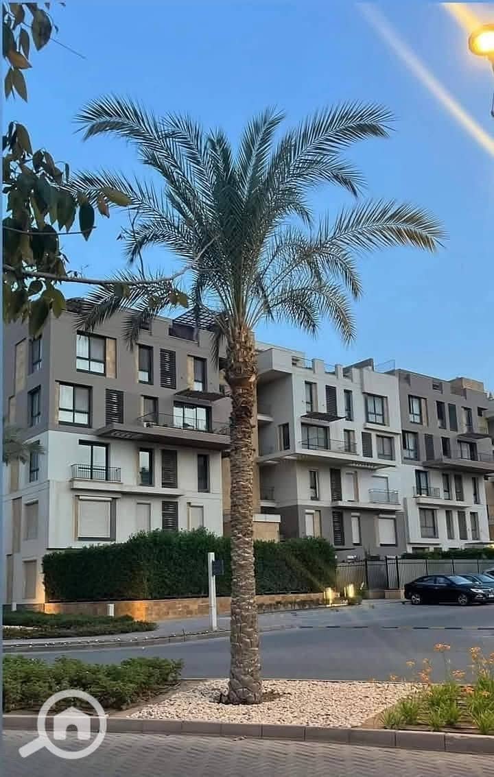 546860815_122156159996782987_1467054621376782063_n. jpg 546860815_122156159996782987_1467054621376782063_n. jpg