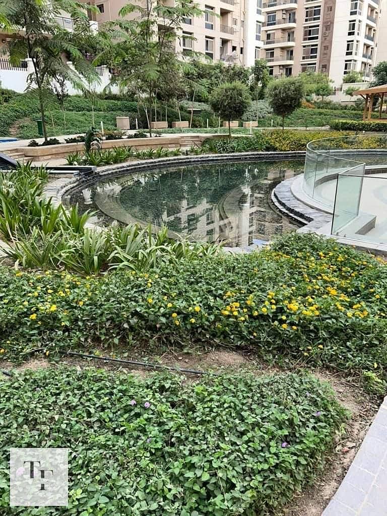 6 85f499f2-1c3e-499d-bc47-5cd326a04768. jpg