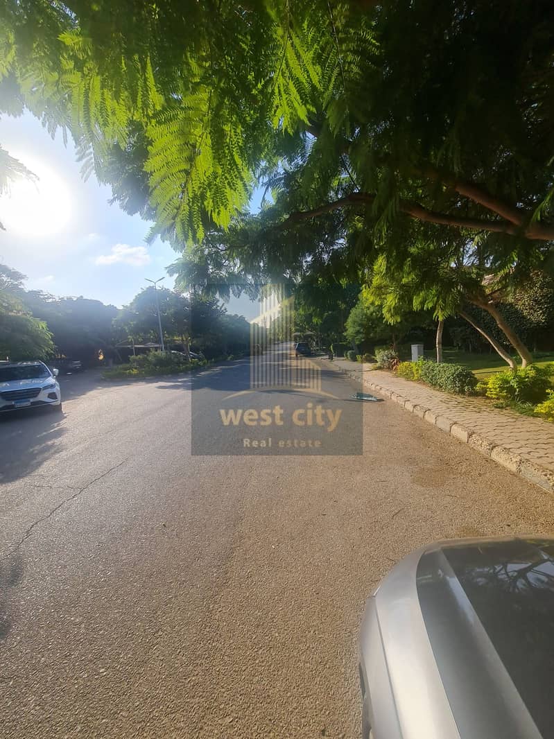 6 20251030_161835. jpg