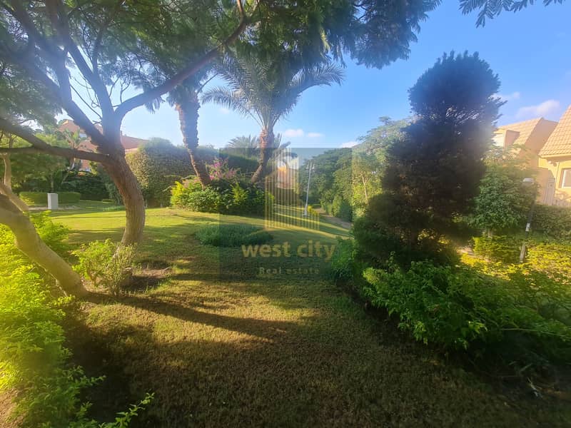 10 20251030_161819. jpg