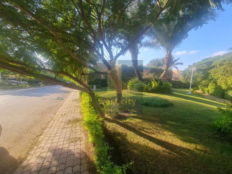 11 20251030_161822. jpg