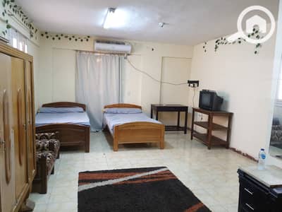 1 Bedroom Apartment for Rent in New Cairo, Cairo - d5c97a05-846d-45d4-aaa2-2a6491db446c74. jpg