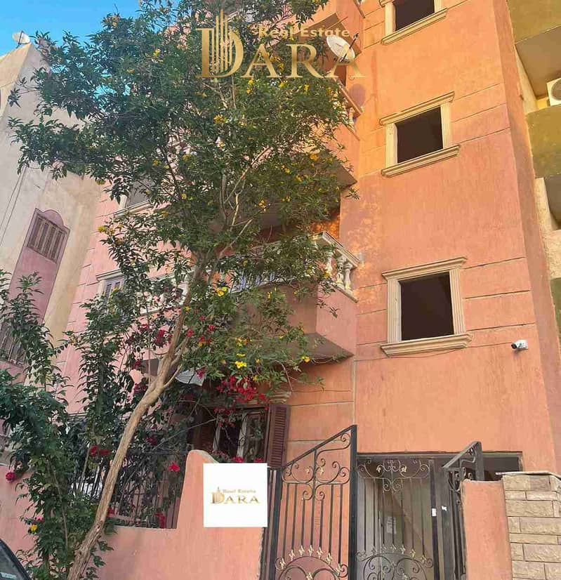 1000060489. jpg 1000060489. jpg