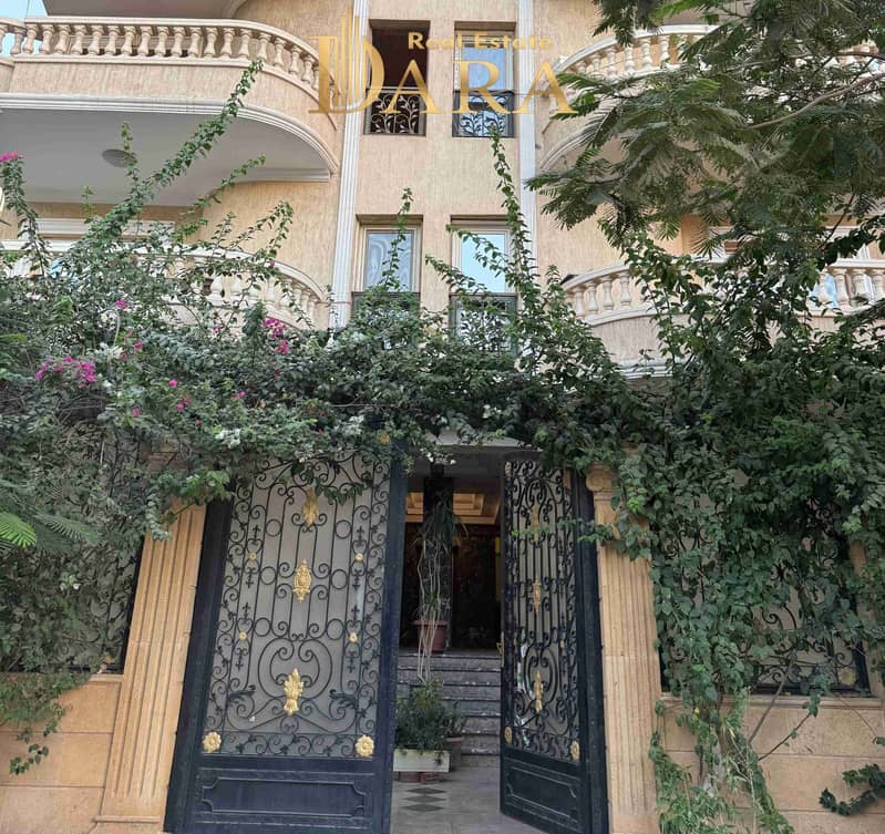 1000334589. jpg 1000334589. jpg