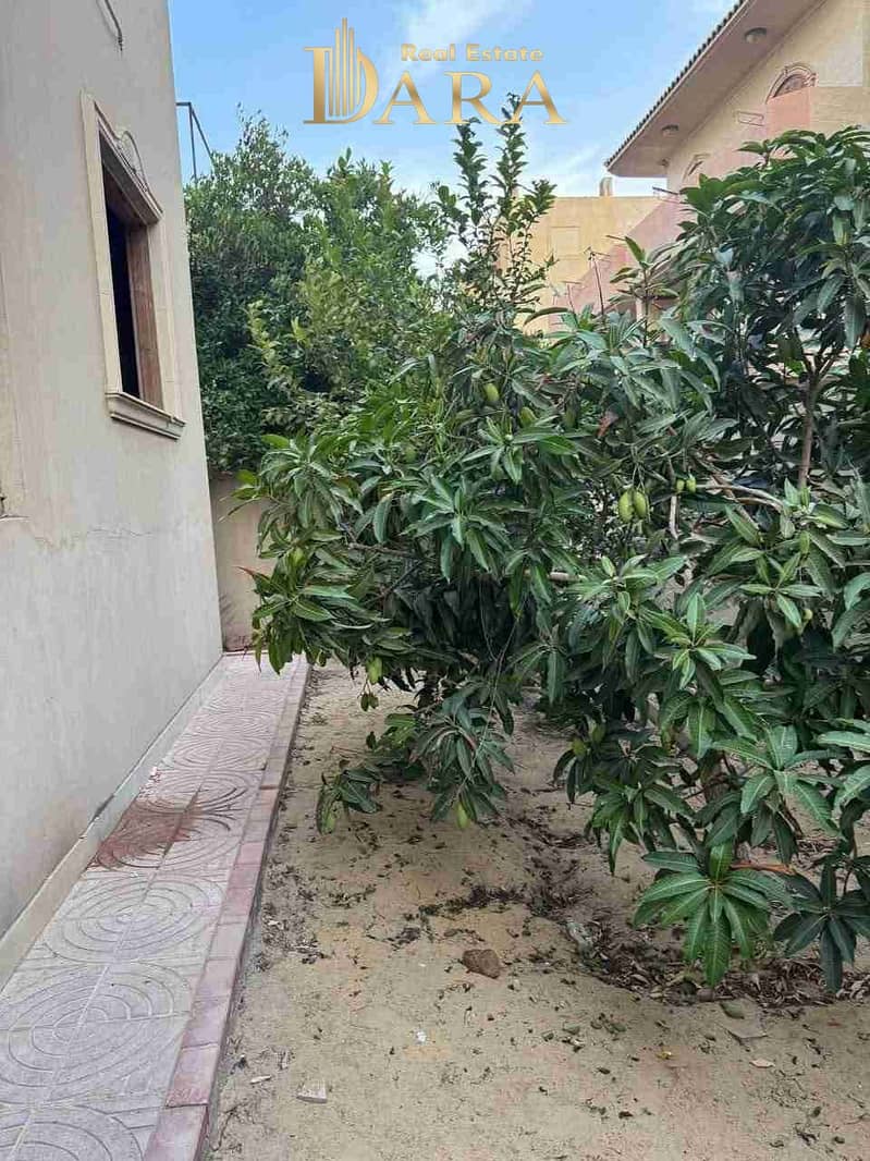 13 FB_IMG_1762505642488. jpg