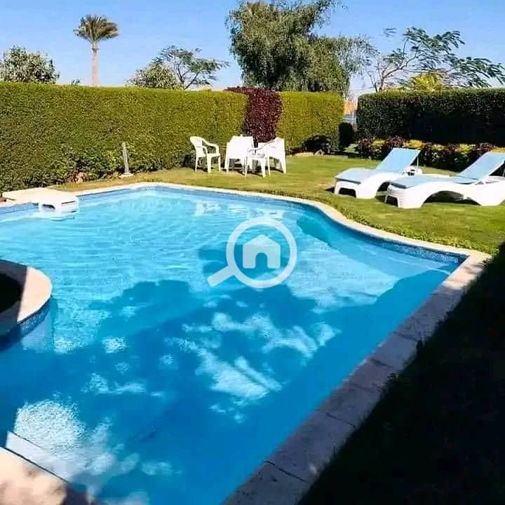 6 556400479_122121142304964854_7685531932079140690_n. jpg