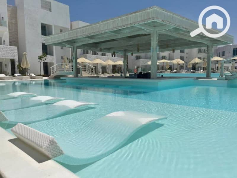 8 556857399_122261188772024470_6488369699744445291_n. jpg