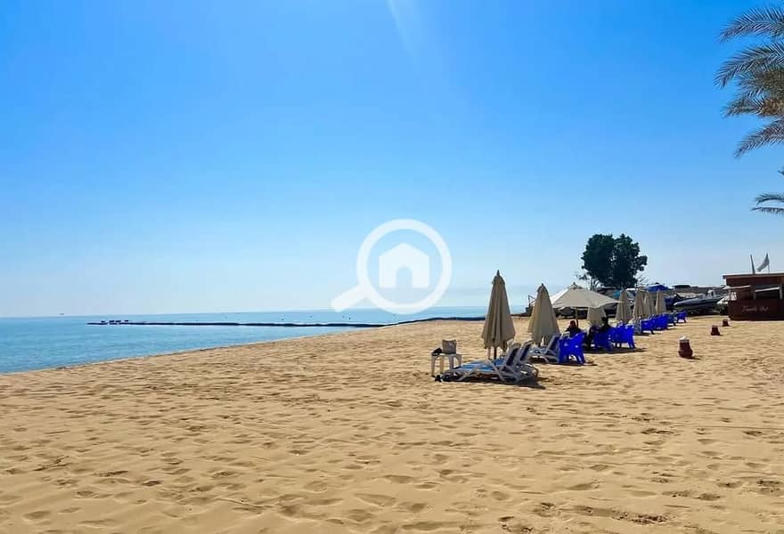 3 548698054_1999840644164249_7882472662203271925_n. jpg