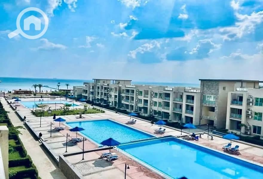 8 550800688_1999840657497581_6516603565198935616_n. jpg