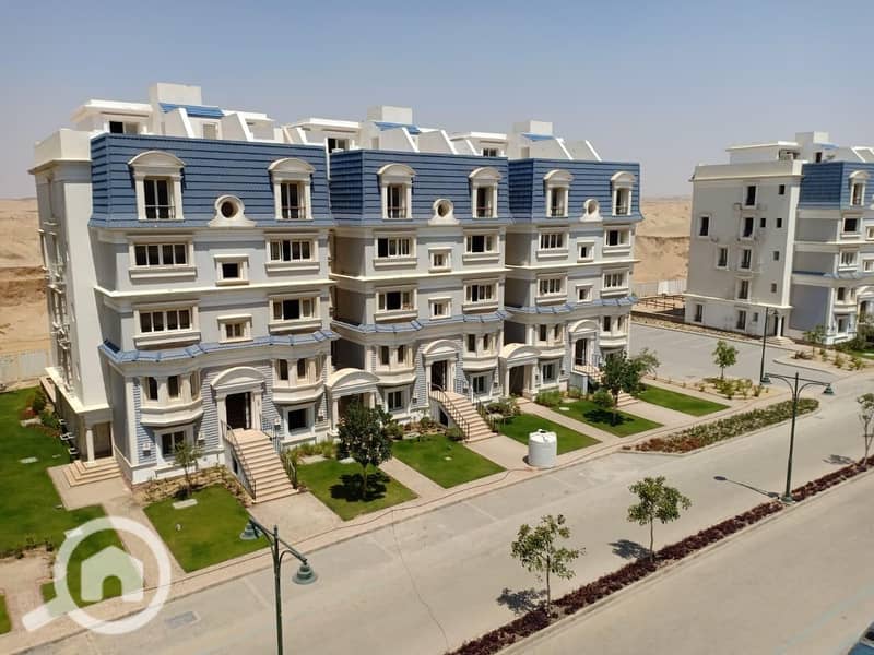 6 WhatsApp Image 2025-08-17 at 20.38. 37_2108a507. jpg