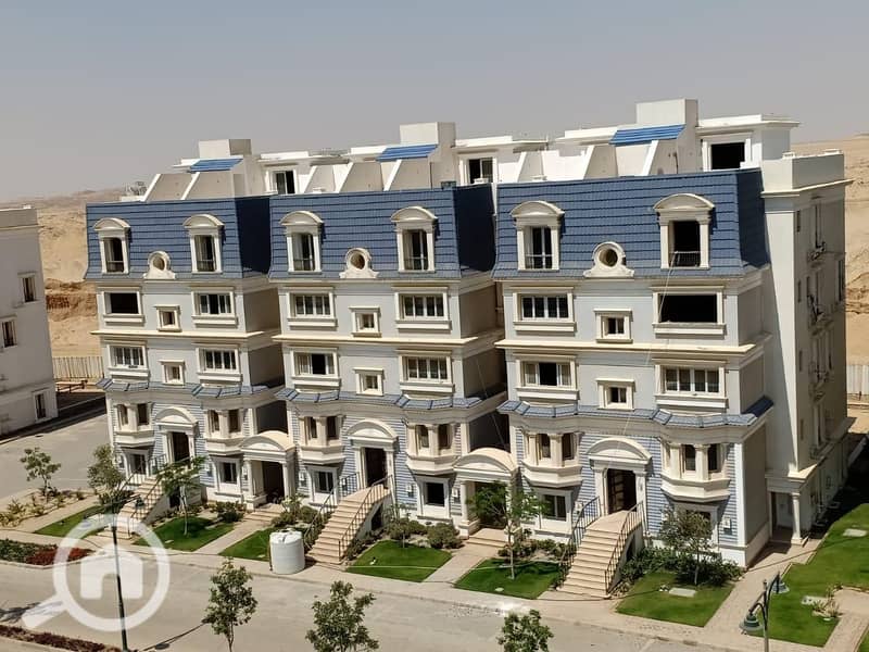 11 WhatsApp Image 2025-08-17 at 20.38. 42_eedb3b90. jpg