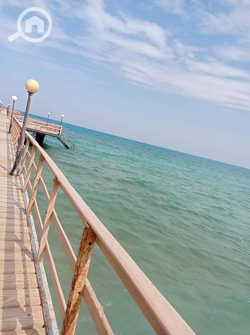 3 476161188_2284888005227459_7114723226367220419_n. jpg