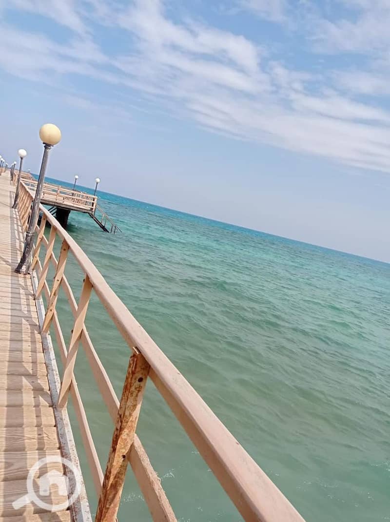 4 476161188_2284888005227459_7114723226367220419_n. jpg