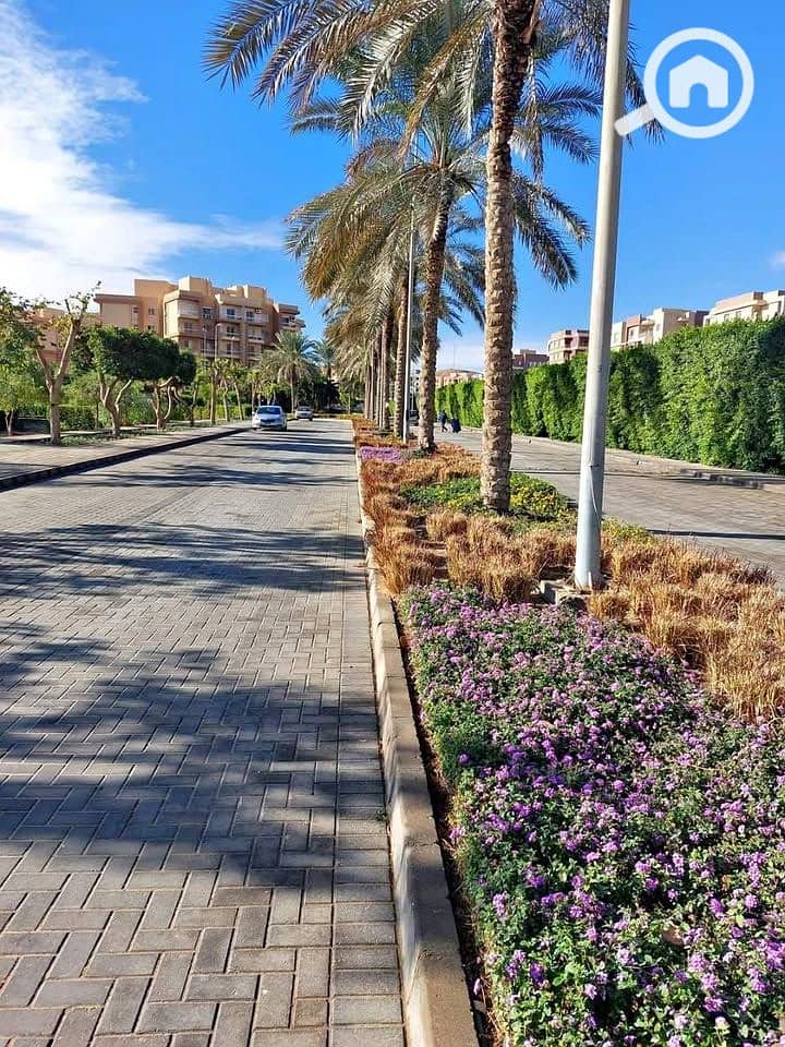 10 518407632_2533112910374988_8162078106935841202_n. jpg