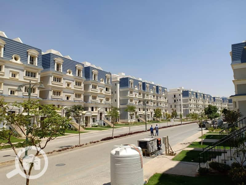 5 WhatsApp Image 2025-08-17 at 20.38. 34_e6557f85. jpg