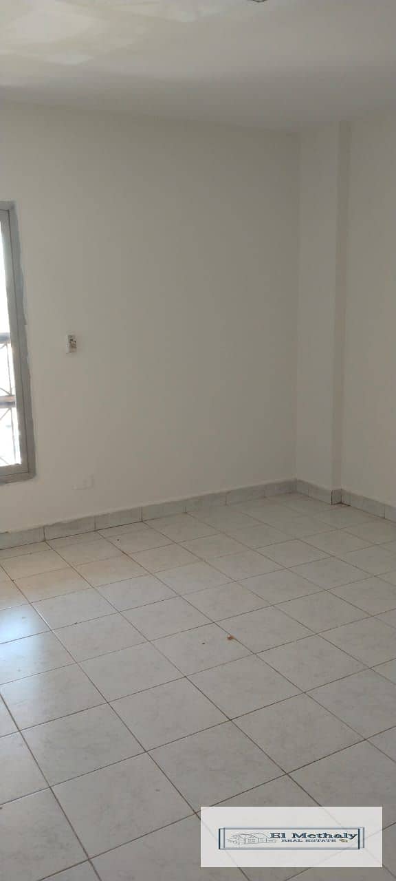 4 acf01321-6414-4c08-81e7-ad3f50e50fe0. jpg