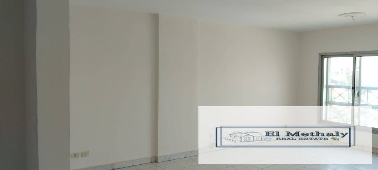 10 0dfc1555-8e7b-4a41-bbb6-2c129dc4de99. jpg