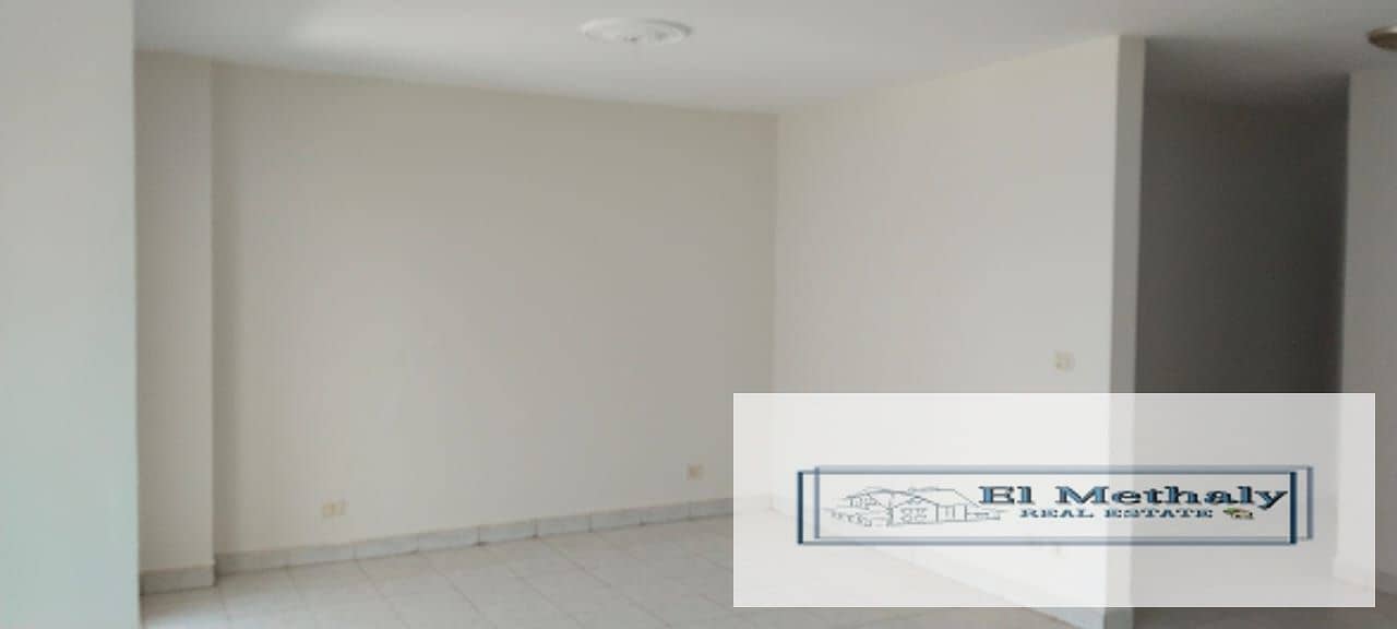 12 91539baf-9402-41b5-b127-c930793e255b. jpg