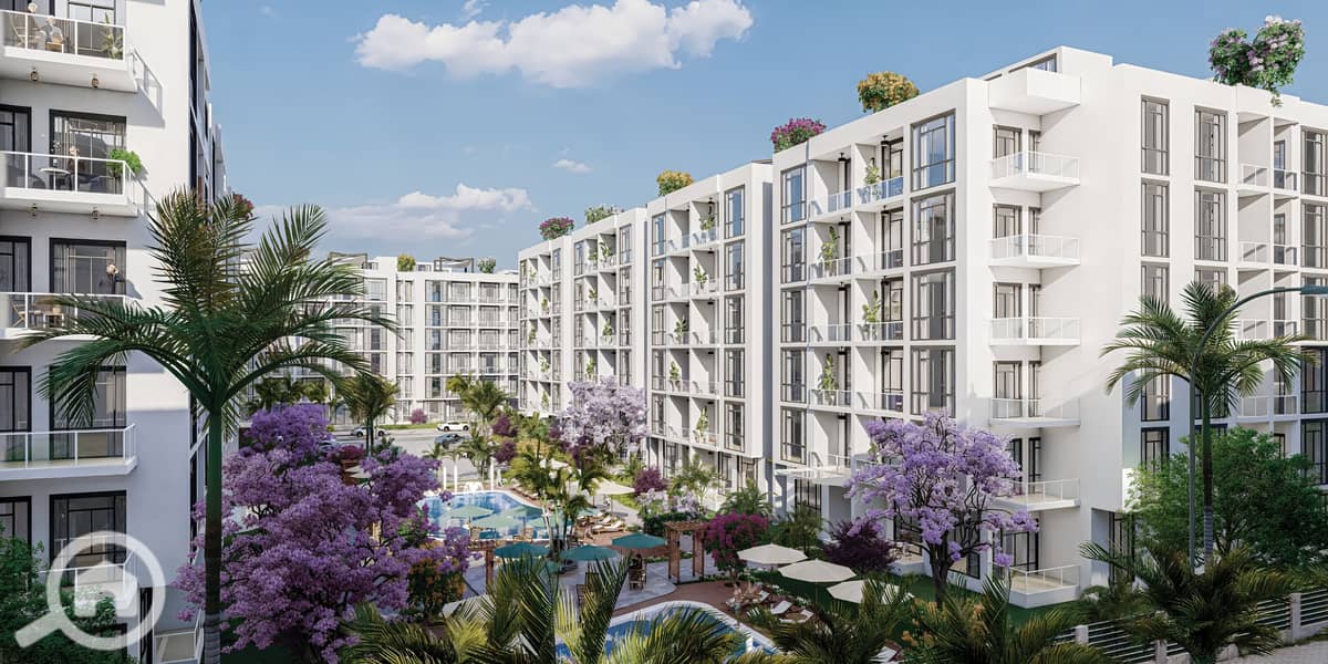 6 IMG_20251106_124125. jpg