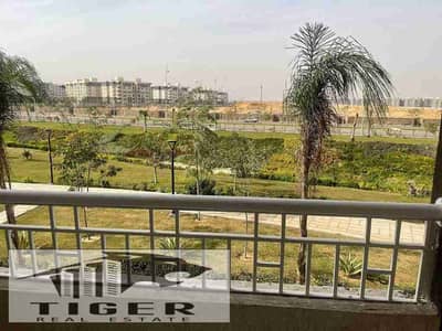 3 Bedroom Flat for Rent in Madinaty, Cairo - 1000394355. jpg 3 Bedroom Flat for Rent in Madinaty, Cairo - 1000394355. jpg