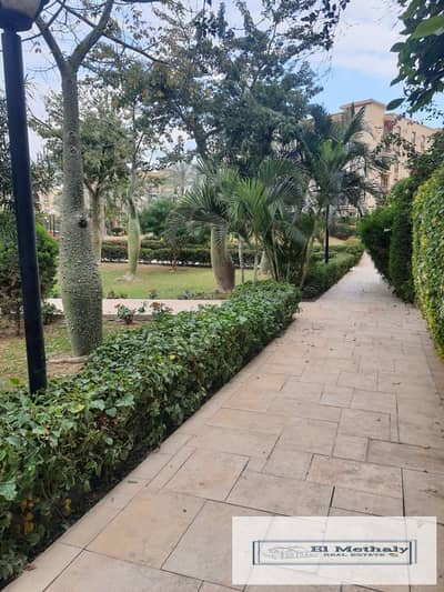 فلیٹ 2 غرفة نوم للايجار في القاهرة الجديدة، القاهرة - e93a299f-ca3b-4db9-bd1d-be884a76f997. jpg