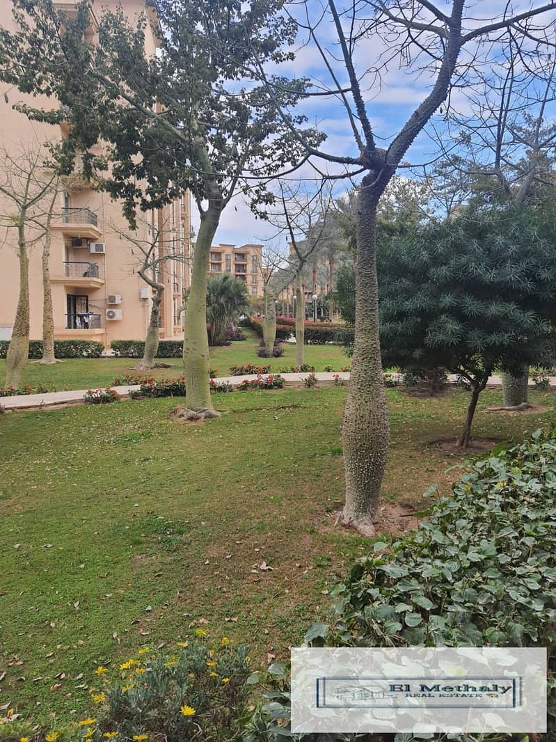 2 9ca265c8-2e54-4ce3-95ca-f91fac20e1d6. jpg