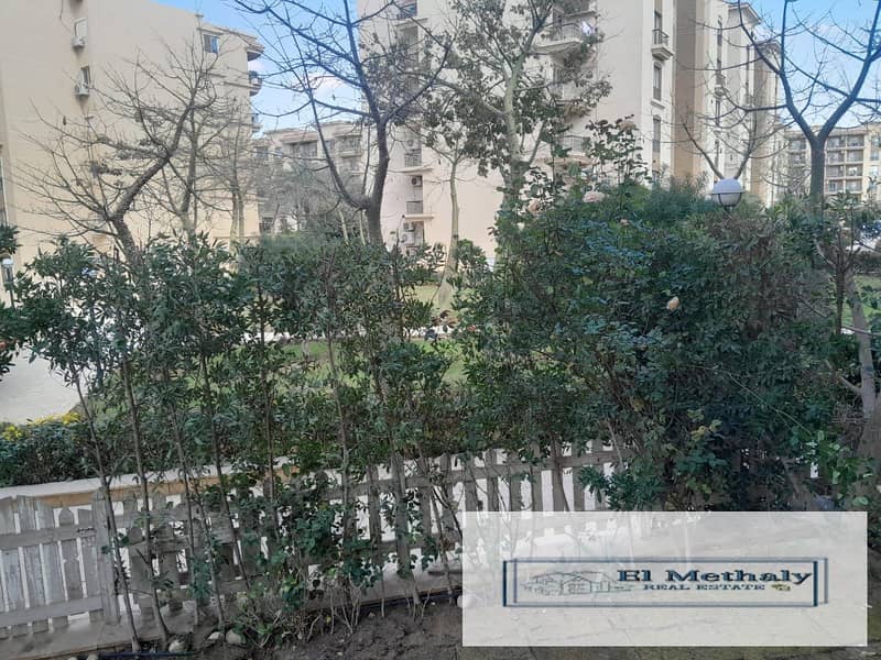 3 1895a96a-7e19-4a0c-b03a-a150e64423c5. jpg