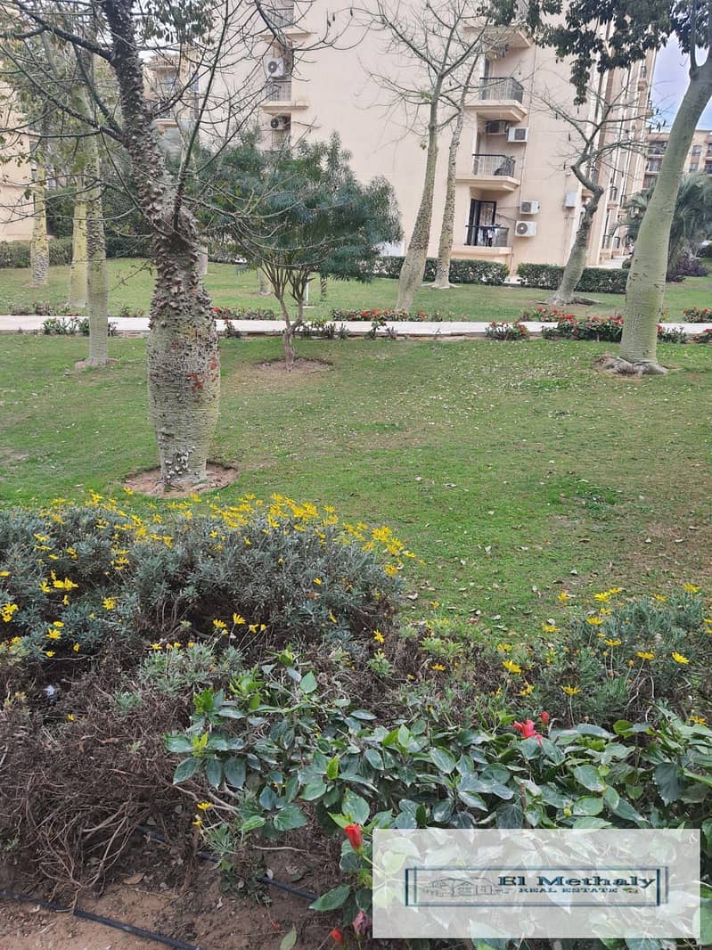 4 41874ba0-d48a-400f-86a3-eedbbd22a86f. jpg