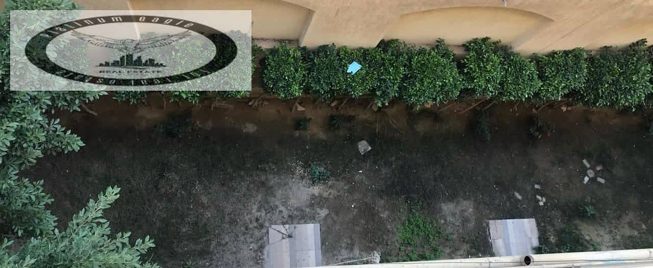 10 370d0d13-12c2-47a9-a21a-64278dde76a9. jpg