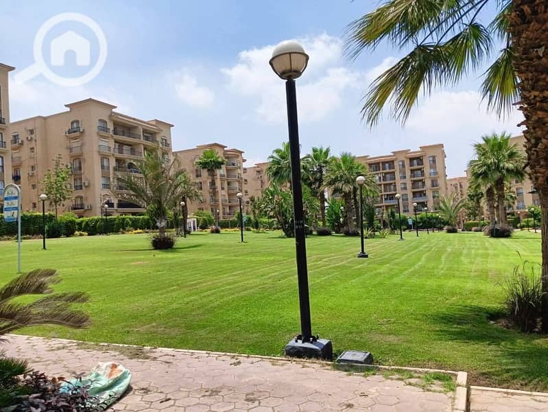 12 572057238_1464927622302476_5796304579379037568_n. jpg