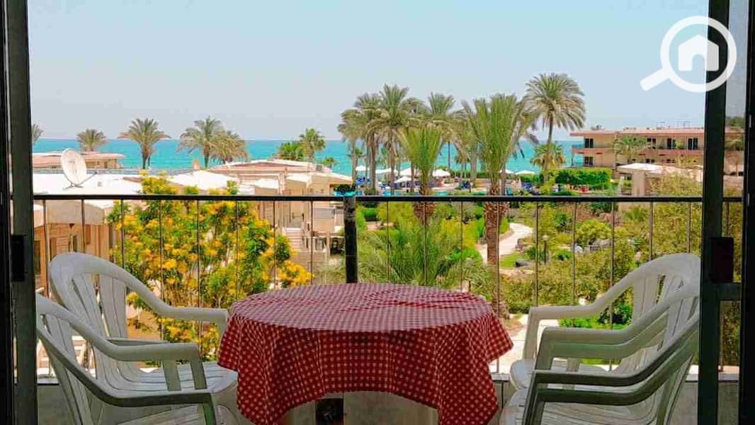 1000539391. jpg 1000539391. jpg