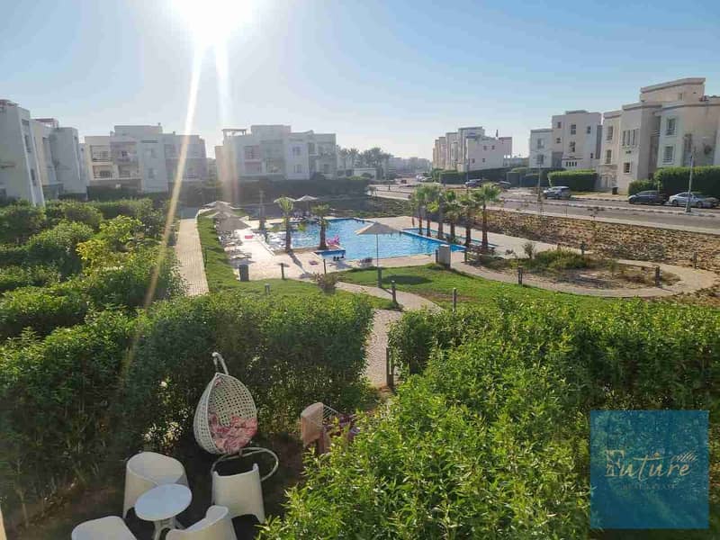 1002070734. jpg 1002070734. jpg