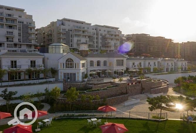 4 3844321-3c8a6o. jpg