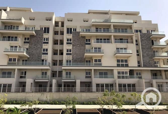 7 3844321-5ae92o. jpg