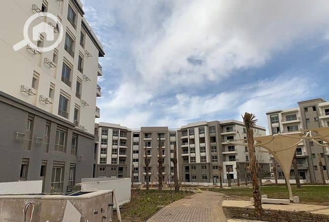 9 3828587-5ce85o. jpg