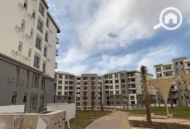 4 3828587-5ce85o. jpg