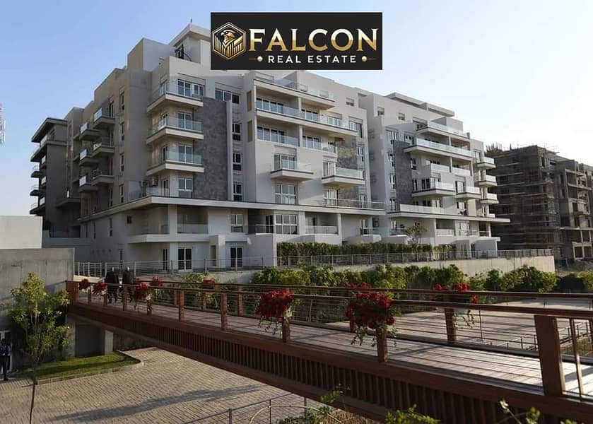 12 WhatsApp Image 2025-03-11 at 13.58. 49_23645bde. jpg