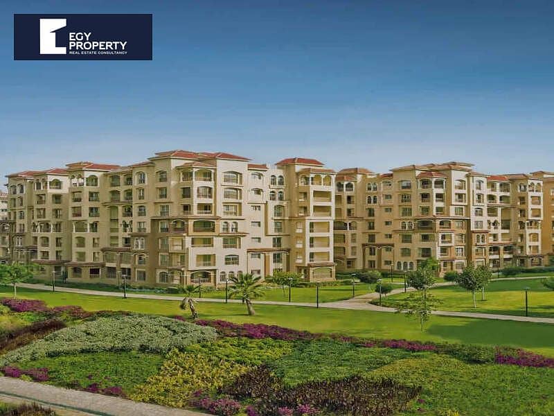 7 Rectangle-528-1. jpg