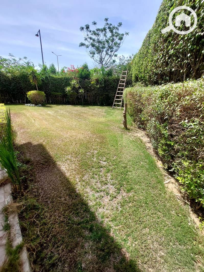 3 d050b2b1-2e03-4411-8e1e-ece48cf14c0a. jpg