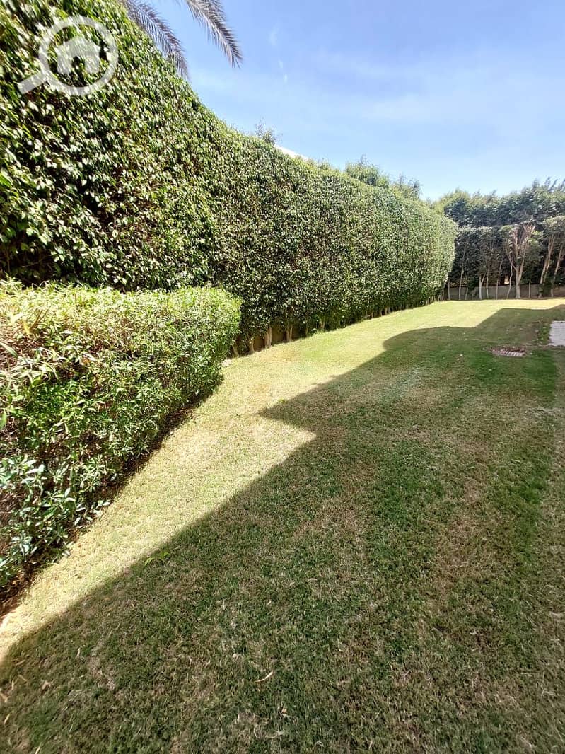 4 12da0b57-8968-41d5-907e-ce0d61607c98. jpg