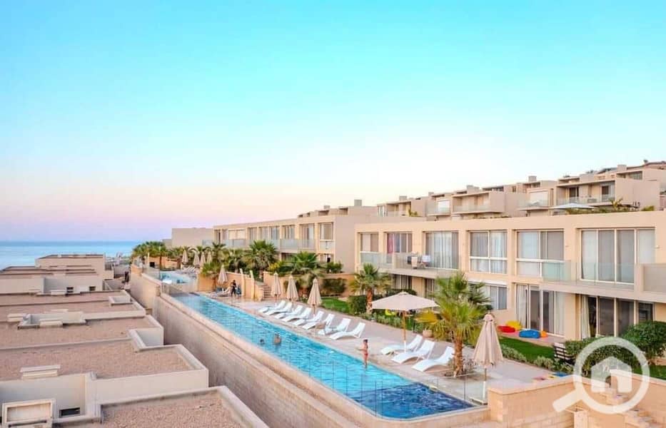 15 550474774_122274026996218425_2490519009006857682_n. jpg